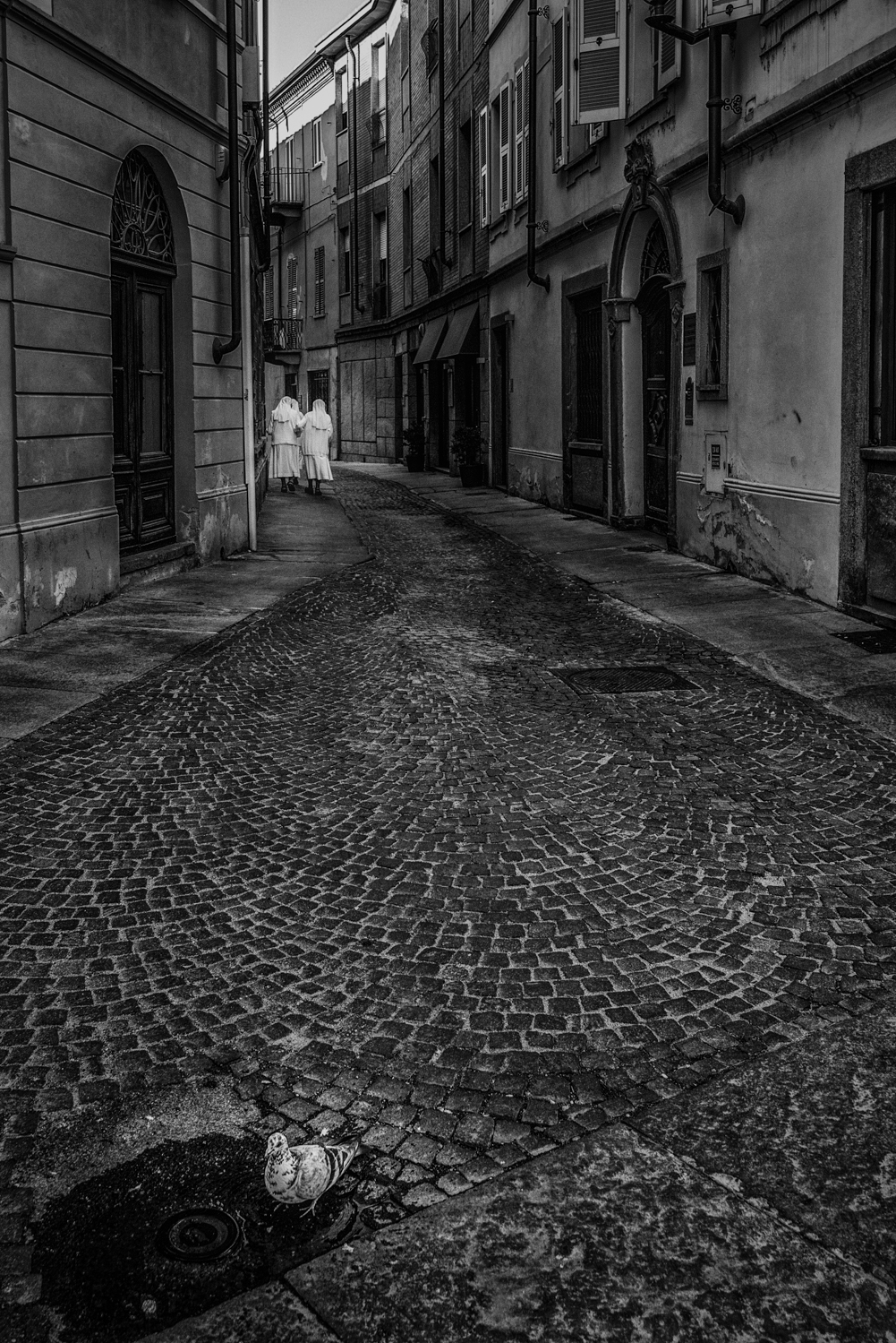 Fotografia di Francesco Nicosia