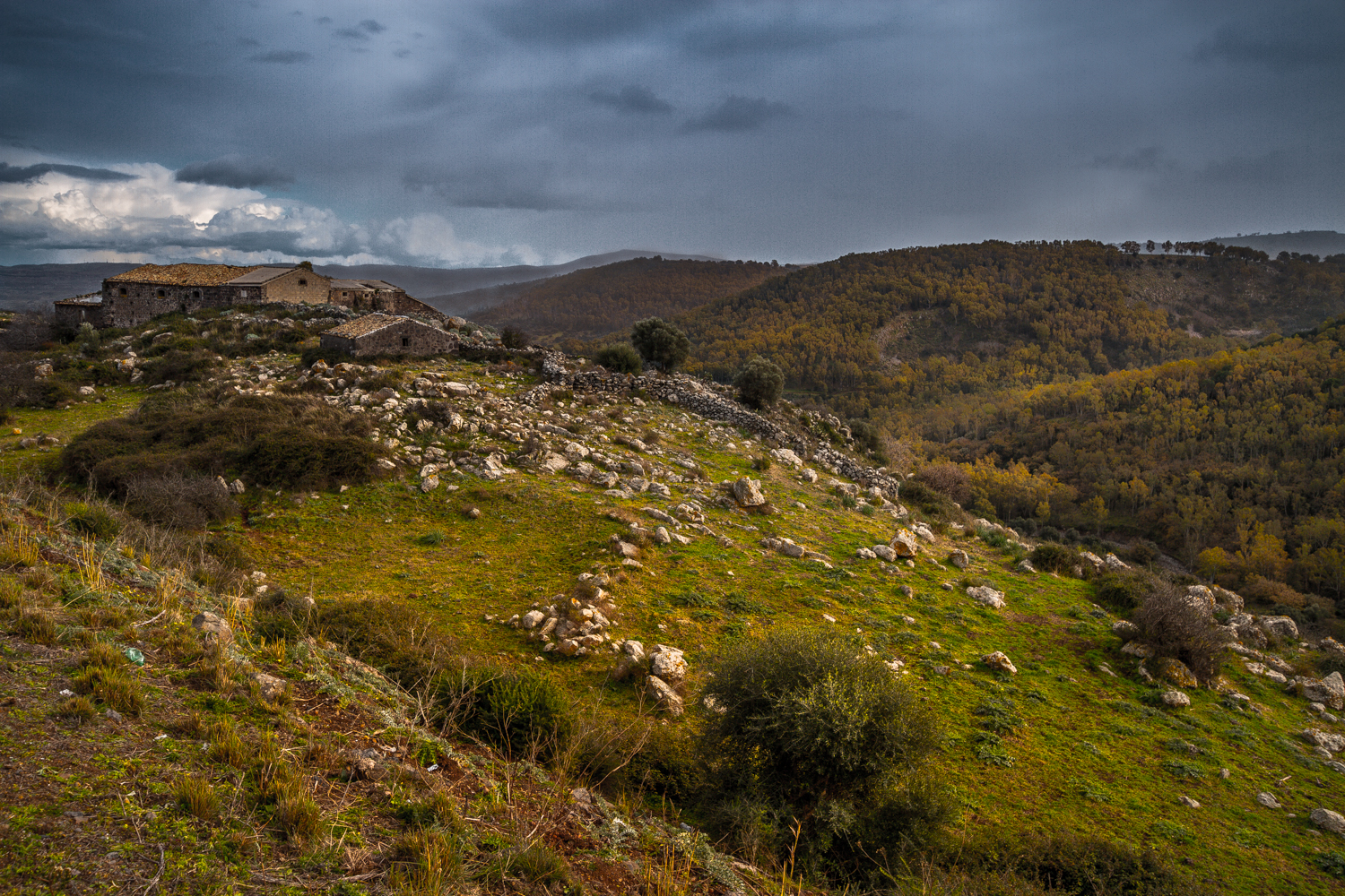 Fotografia di Francesco Nicosia
