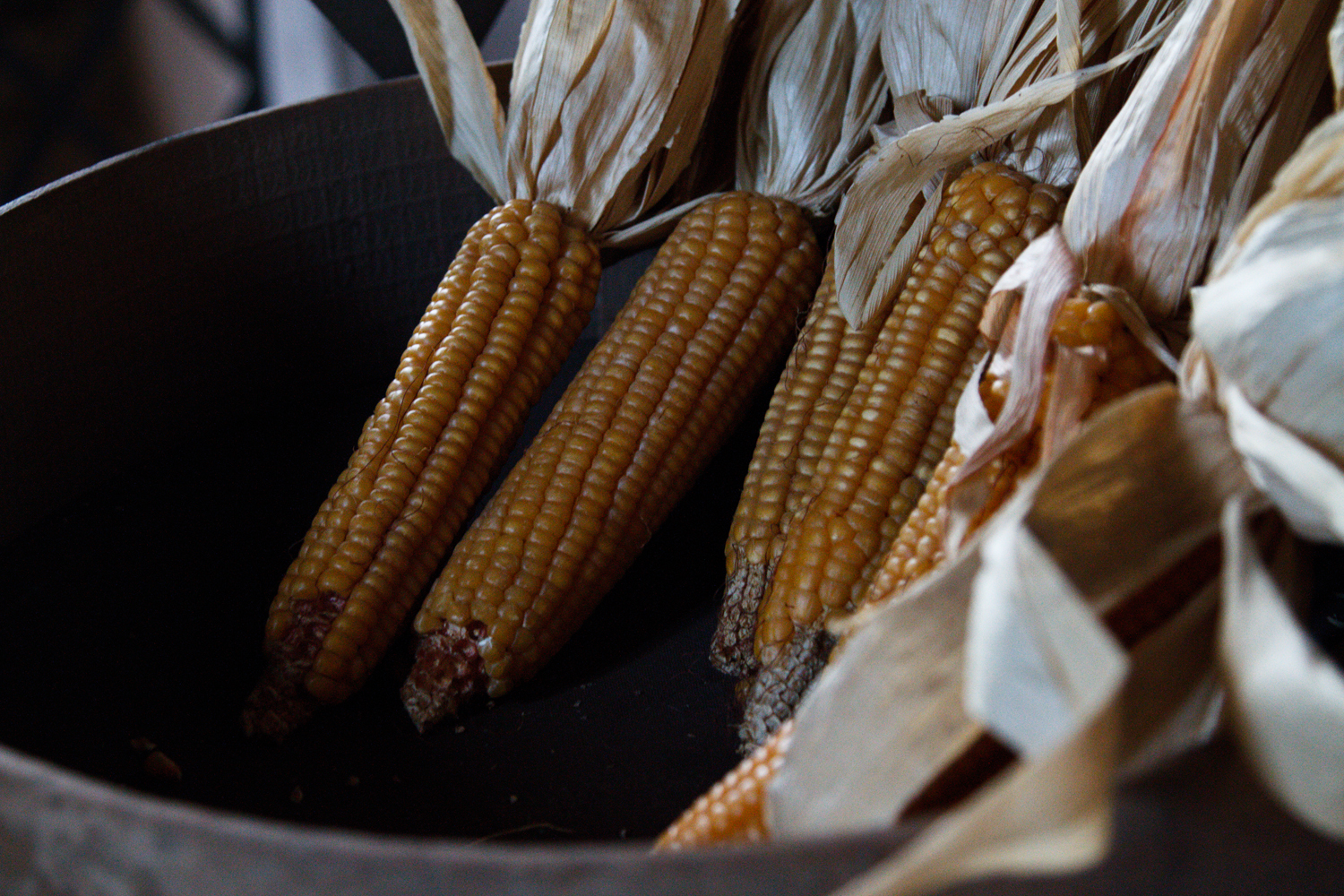 Fotografia di Francesco Nicosia