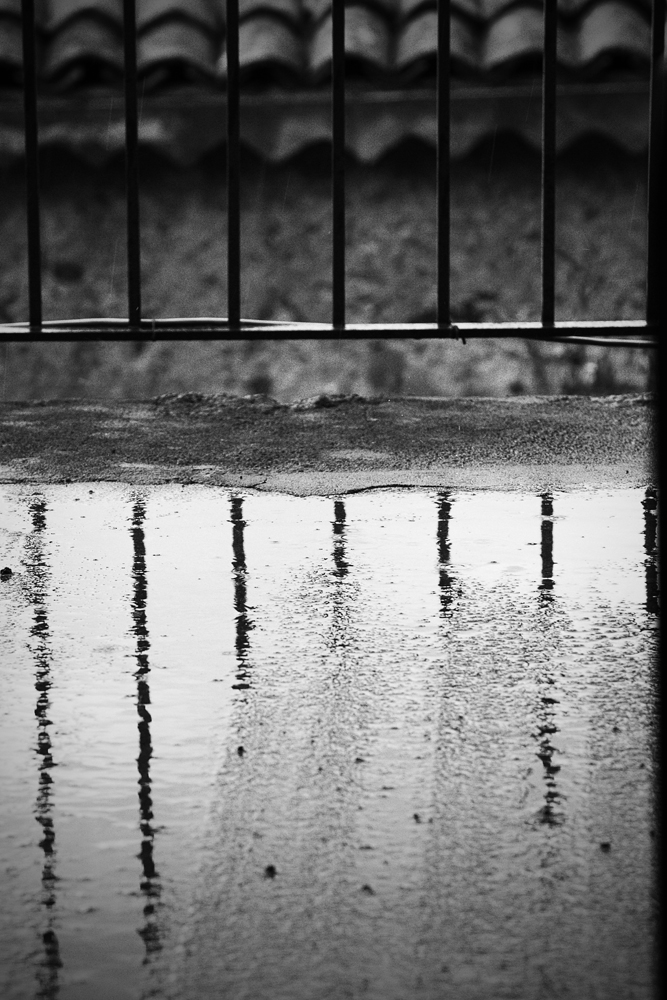 Fotografia di Francesco Nicosia