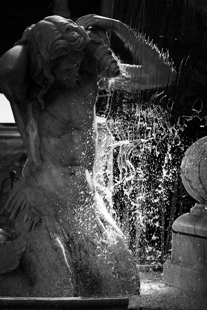 Fotografia di Francesco Nicosia